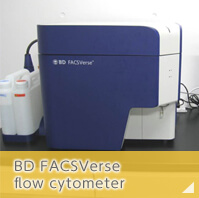 BD FACSVerse flow cytometer