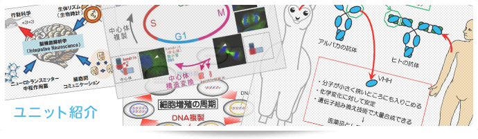 研究ユニット紹介