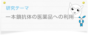 研究テーマ：　一本鎖抗体の医薬品への利用