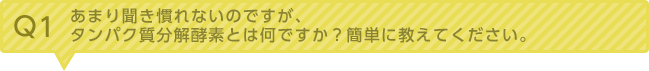 Q1：あまり聞き慣れないのですが、タンパク質分解酵素とは何ですか？簡単に教えてください。