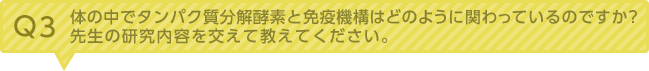 Q3：体の中でタンパク質分解酵素と免疫機構はどのように関わっているのですか？先生の研究内容を交えて教えてください。