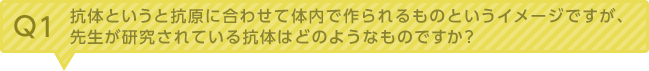 Q1：抗体というと抗原に合わせて体内で作られるものというイメージですが、先生が研究されている抗体はどのようなものですか？