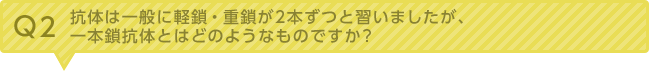 Q2：抗体は一般に軽鎖・重鎖が2本ずつと習いましたが、一本鎖抗体とはどのようなものですか