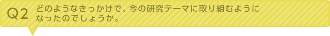 Q2：どのようなきっかけで、今の研究テーマに取り組むようになったのでしょうか。