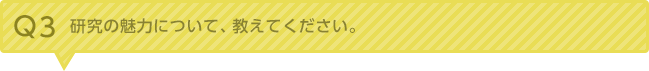 Q3：研究の魅力について、教えてください。