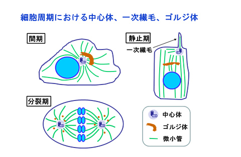 研究テーマイメージ