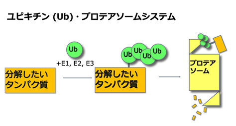 研究テーマイメージ