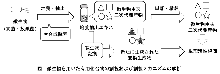 研究テーマイメージ