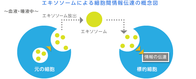 研究テーマイメージ