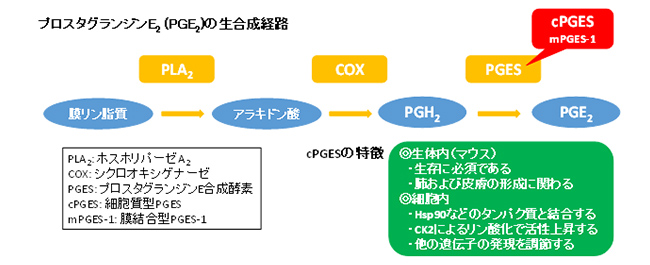 研究テーマイメージ