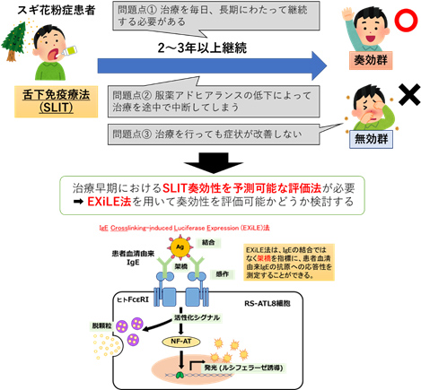 研究テーマイメージ