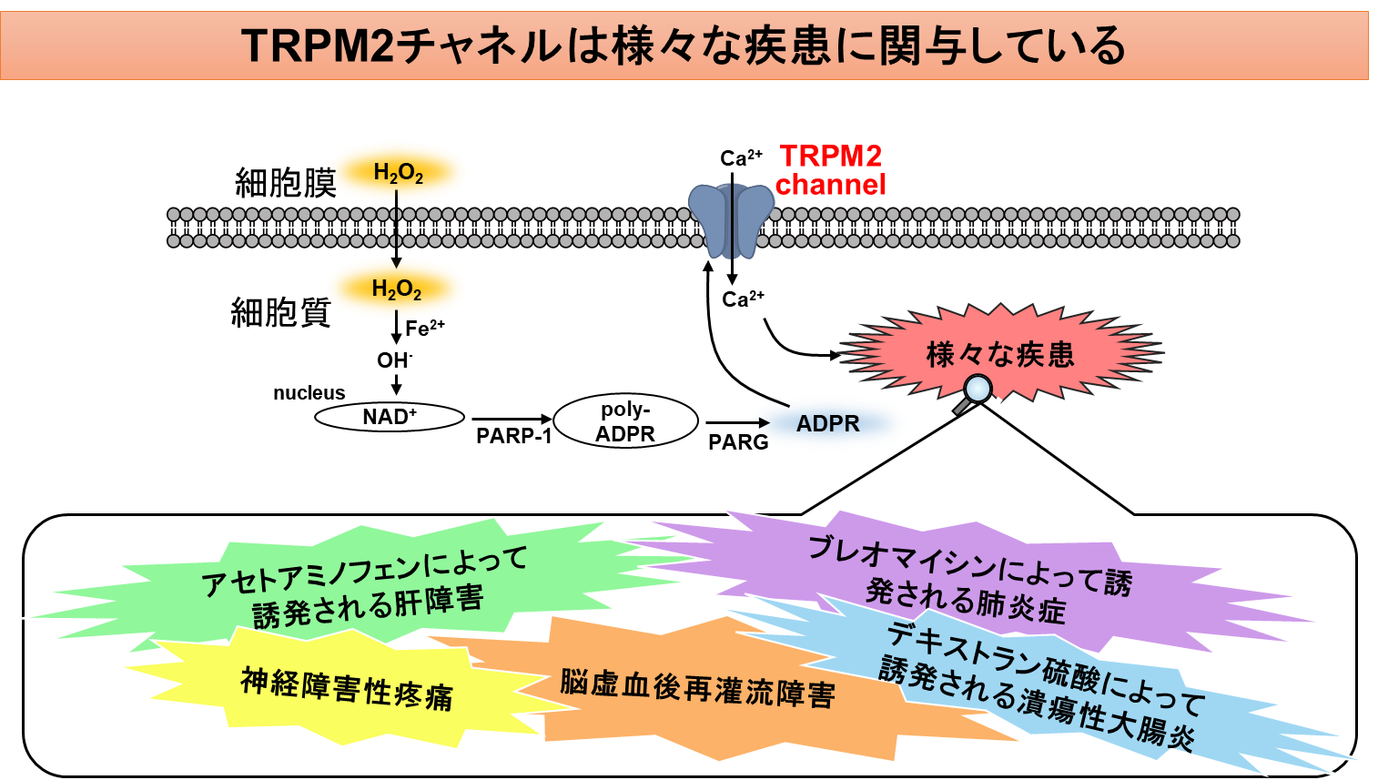 研究テーマイメージ