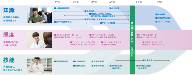 カリキュラムフロー図